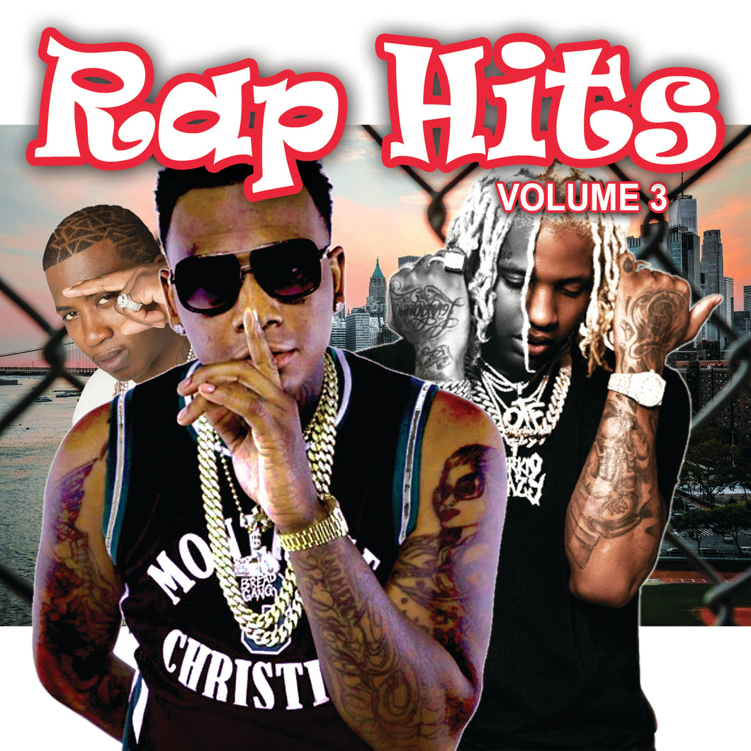 Rap Hits 3
